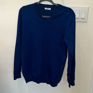 Royal blue men’s v neck sweater